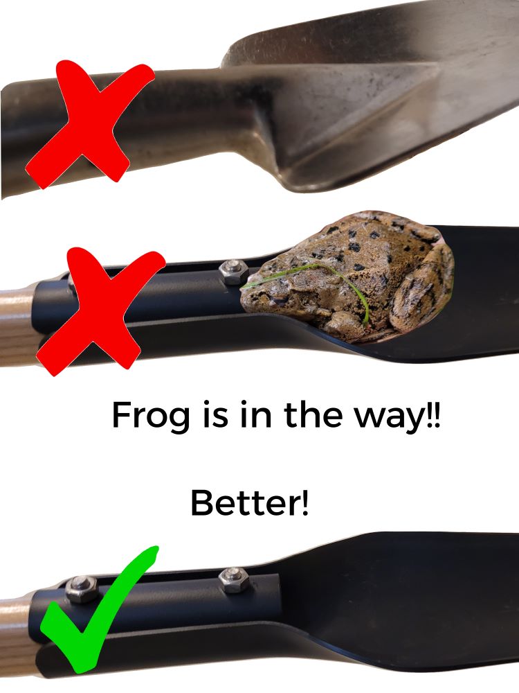 no-frog
